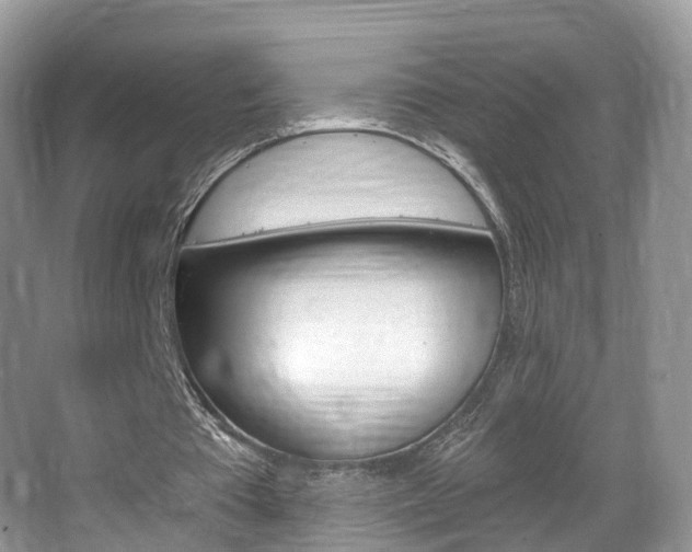X0000067880385200604131046