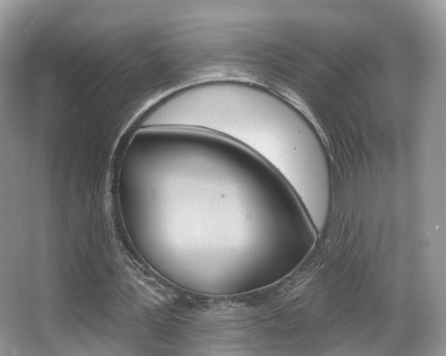 X0000067880387200604131046