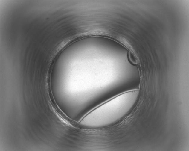 X0000067880389200604131046