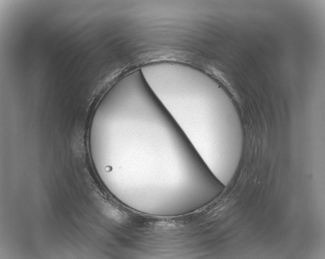 X0000067880394200604131046