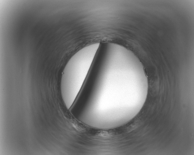 X0000067880416200604131046