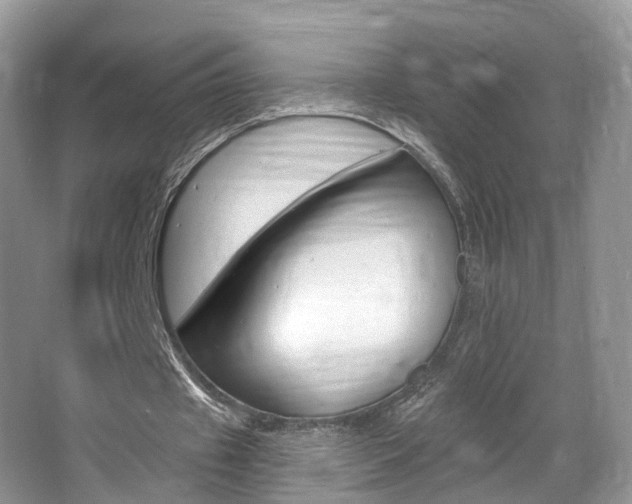 X0000067880433200604131045