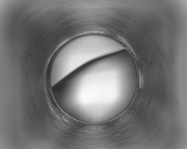 X0000067880435200604131045
