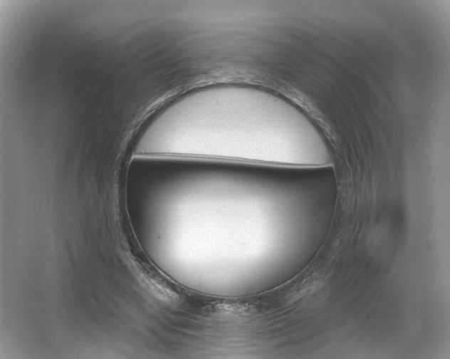X0000067880442200604131045