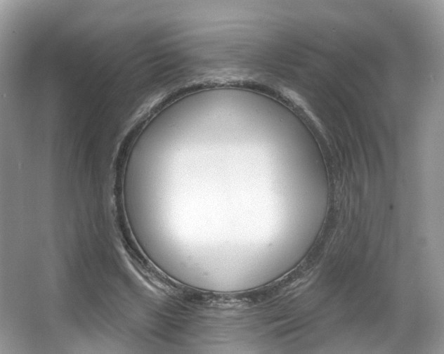 X0000067880443200604131045