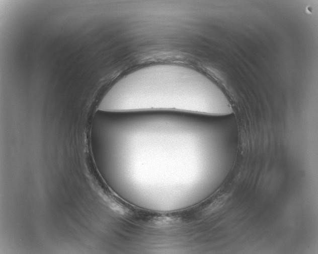 X0000067880453200604131045