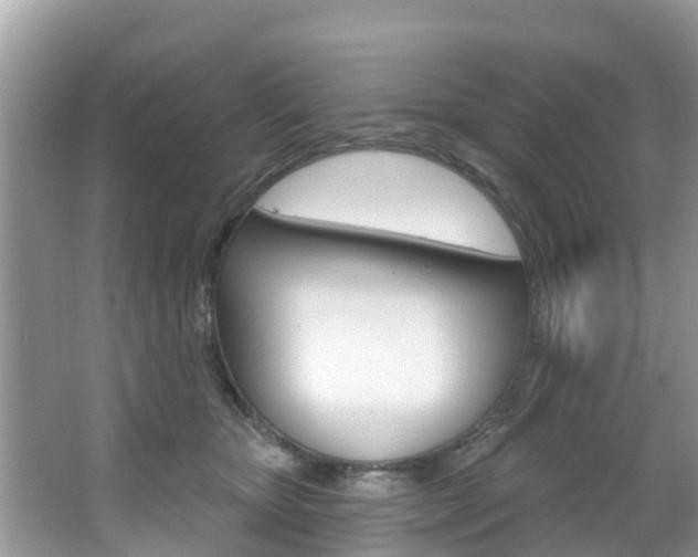 X0000067880467200604131045