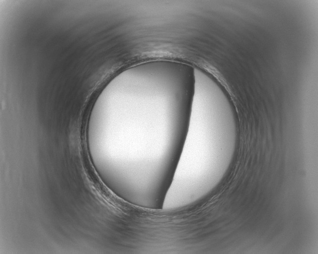 X0000067880482200604131044