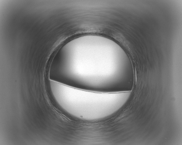 X0000067880483200604131044