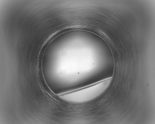 X0000067880484200604131044