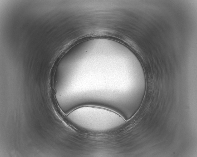 X0000067880485200604131044