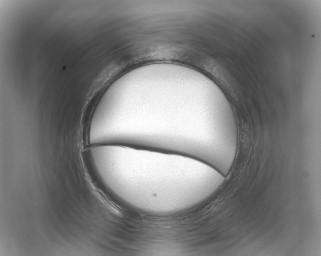 X0000067880486200604131044