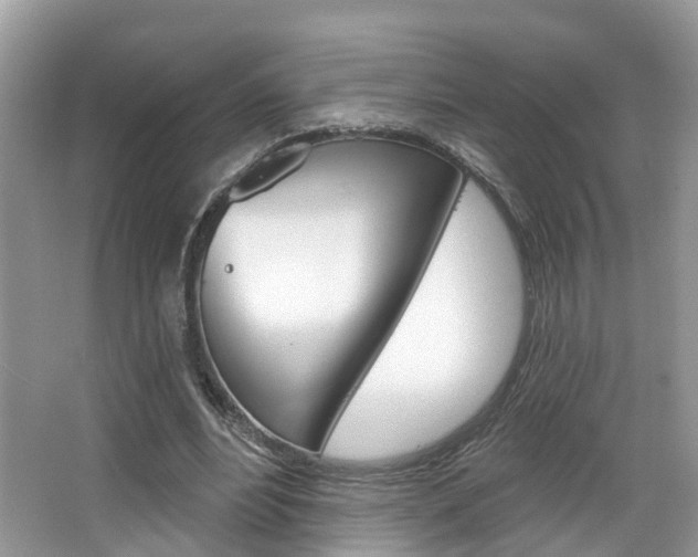 X0000067880488200604131044
