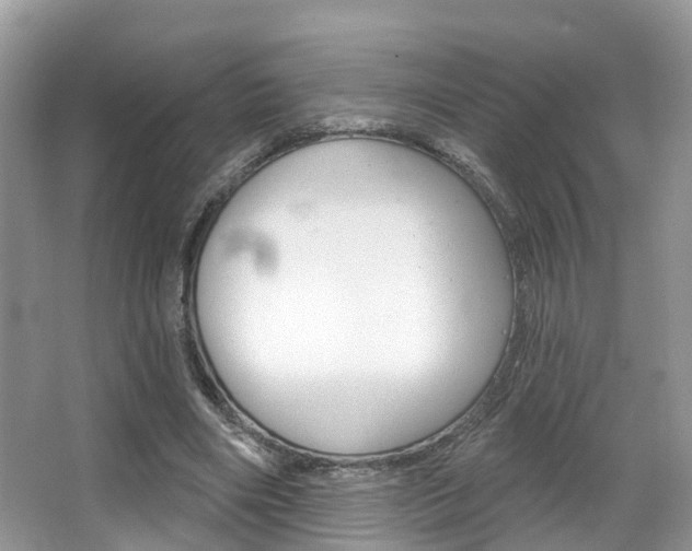 X0000067880490200604131044