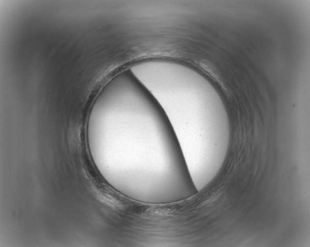 X0000067880491200604131044