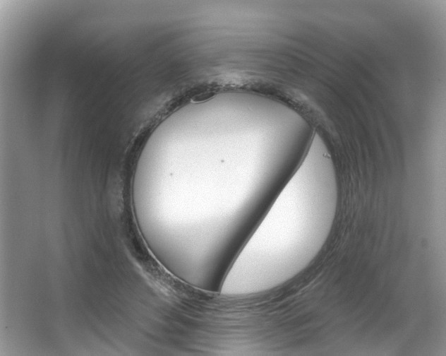X0000067880496200604131044