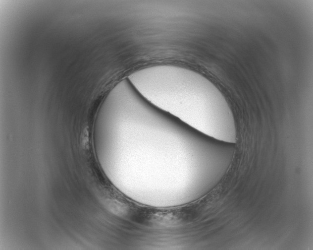 X0000067880502200604131044