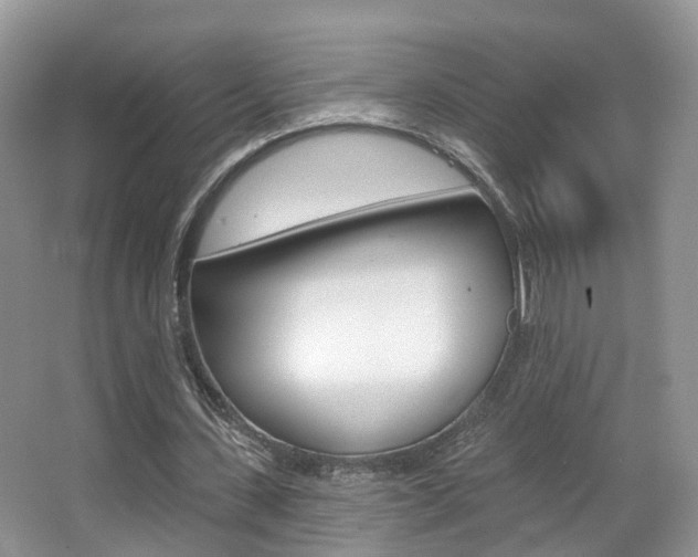 X0000067880531200604131043