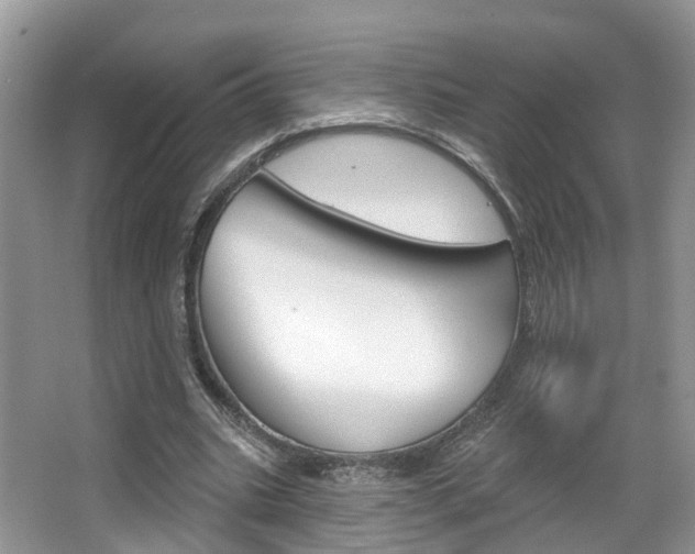 X0000067880535200604131043