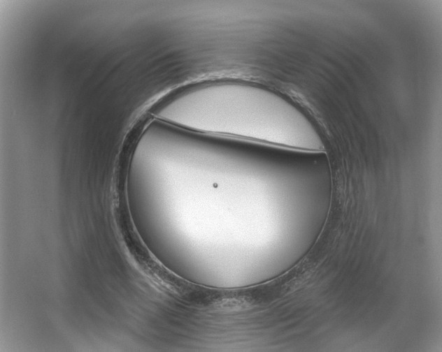 X0000067880536200604131043