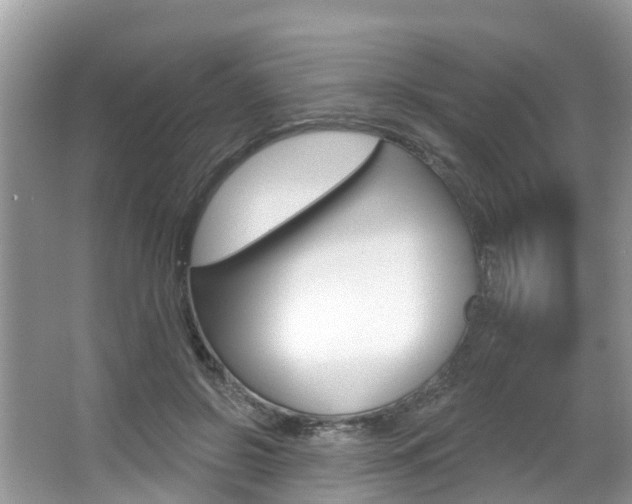 X0000067880550200604131043
