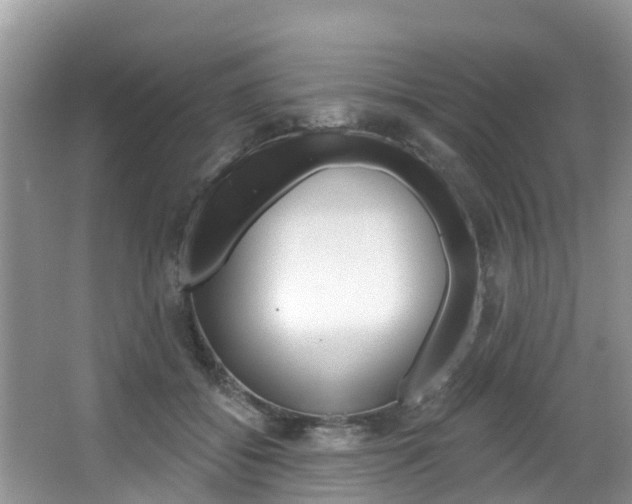 X0000067880556200604131043