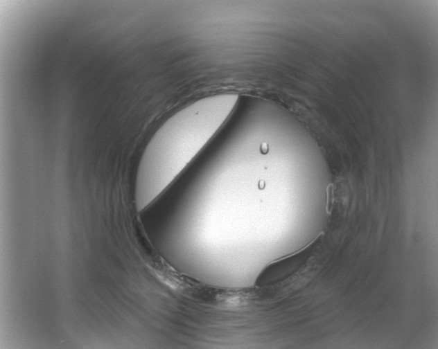 X0000067880564200604131043