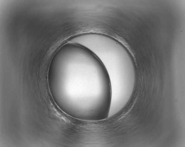 X0000067880577200604131043