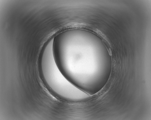 X0000067880581200604131043