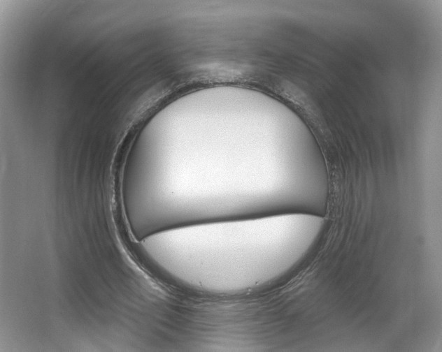 X0000067880582200604131043
