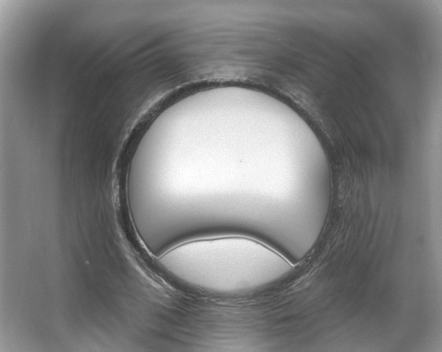 X0000067880584200604131043