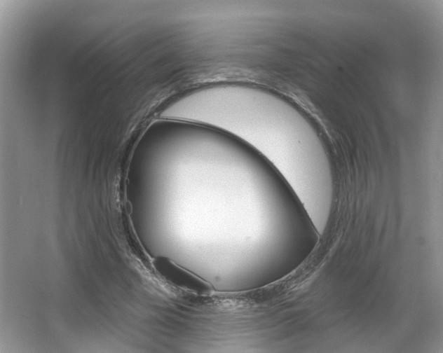 X0000067880585200604131043
