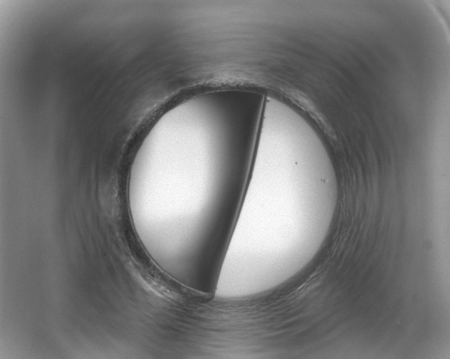 X0000067880588200604131043