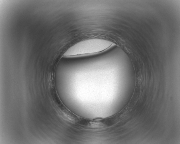 X0000067880605200604131042