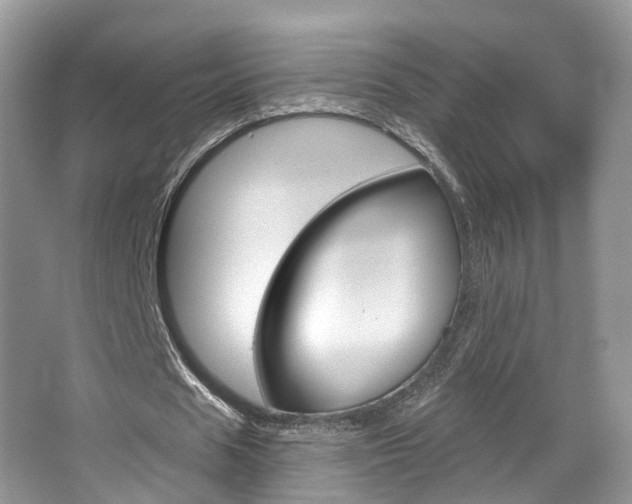 X0000067880625200604131041