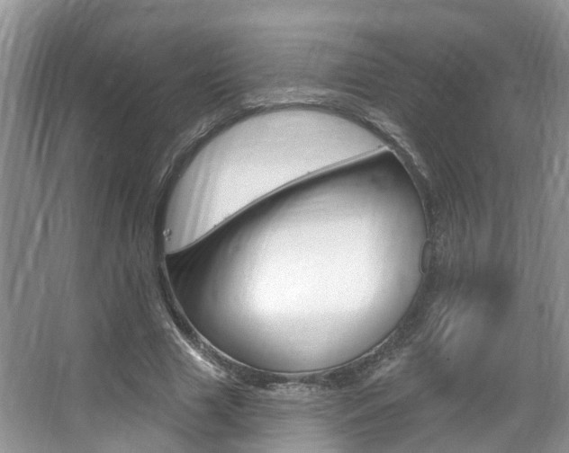X0000067880633200604131041