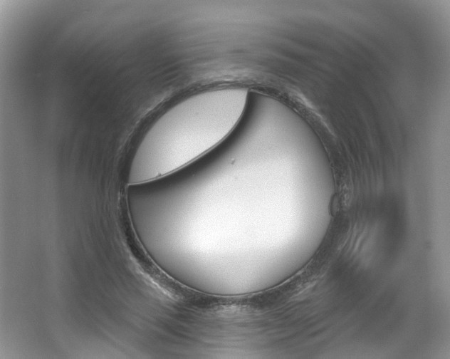 X0000067880637200604131041