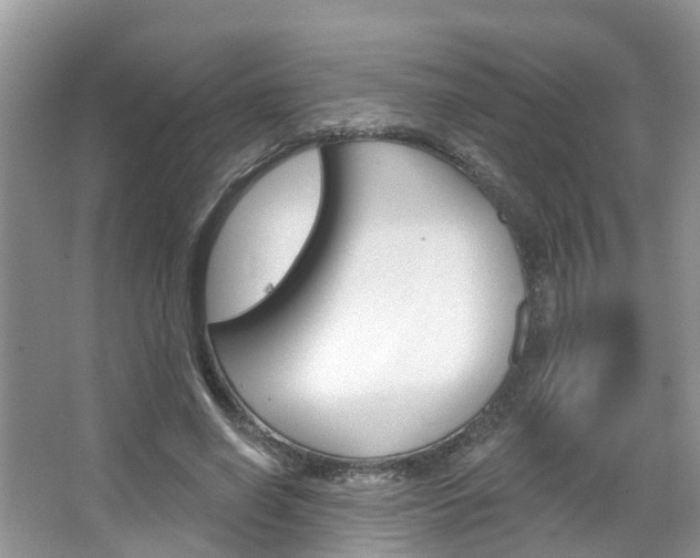 X0000067880638200604131041