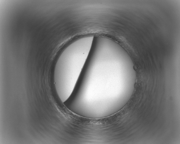 X0000067880640200604131042