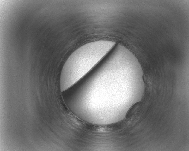 X0000067880657200604131042