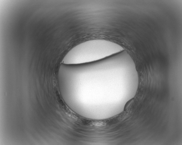 X0000067880659200604131042