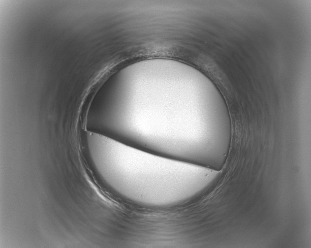 X0000067880674200604131041