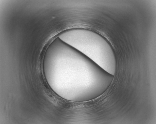 X0000067880675200604131041