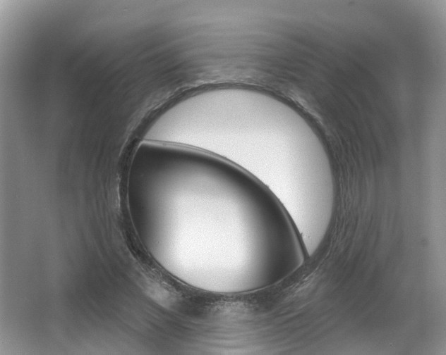 X0000067880685200604131041