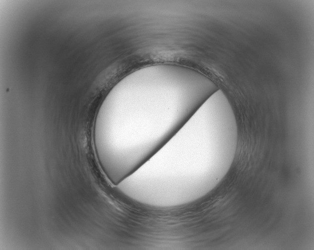 X0000067880687200604131041