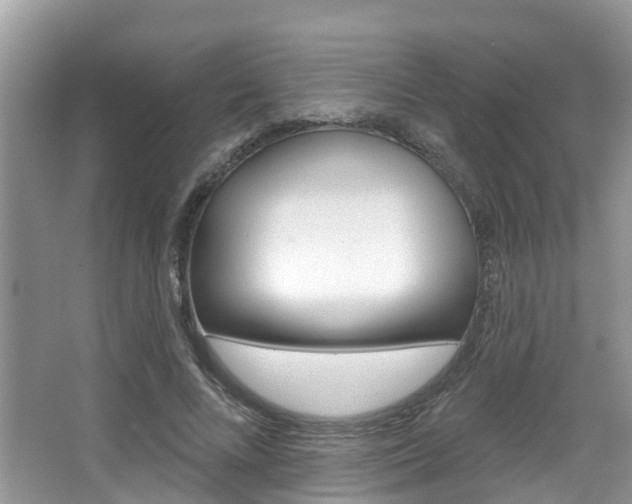 X0000067880688200604131041