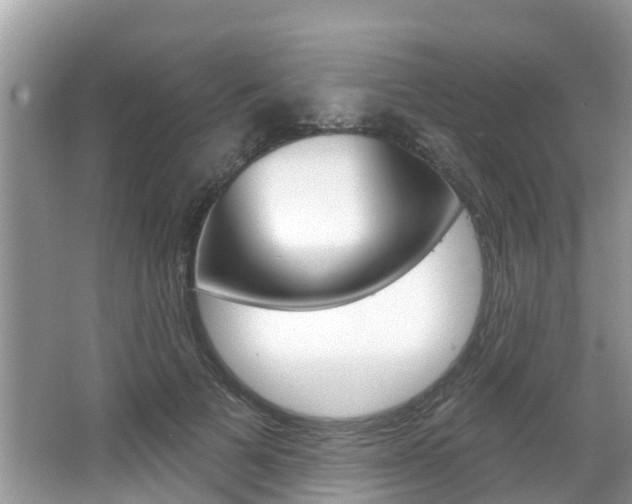 X0000067880697200604131041