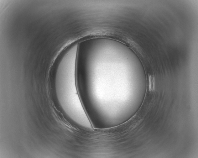 X0000067880723200604131040