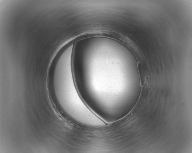 X0000067880724200604131040