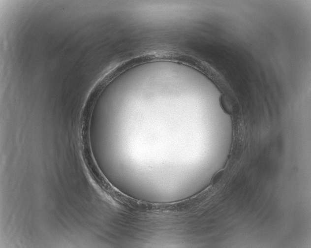 X0000067880730200604131040